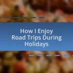 How I Enjoy Road Trips During Holidays