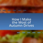 How I Make the Most of Autumn Drives